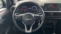 Kia Picanto 1.0 DPi Concept Gris - thumbnail 9