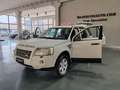 Land Rover Freelander 2.2 td4 S 4X4 Wit - thumbnail 5