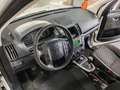 Land Rover Freelander 2.2 td4 S 4X4 Wit - thumbnail 8