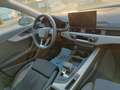 Audi A4 Avant 40 TDI quattro basis Gris - thumbnail 7