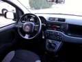 Fiat Panda Panda 1.0 firefly hybrid "OK PER NEOPATENTATI" Rot - thumbnail 11