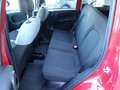 Fiat Panda Panda 1.0 firefly hybrid "OK PER NEOPATENTATI" Rosso - thumbnail 8