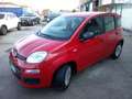 Fiat Panda Panda 1.0 firefly hybrid "OK PER NEOPATENTATI" Rosso - thumbnail 2