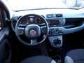 Fiat Panda Panda 1.0 firefly hybrid "OK PER NEOPATENTATI" Rojo - thumbnail 7