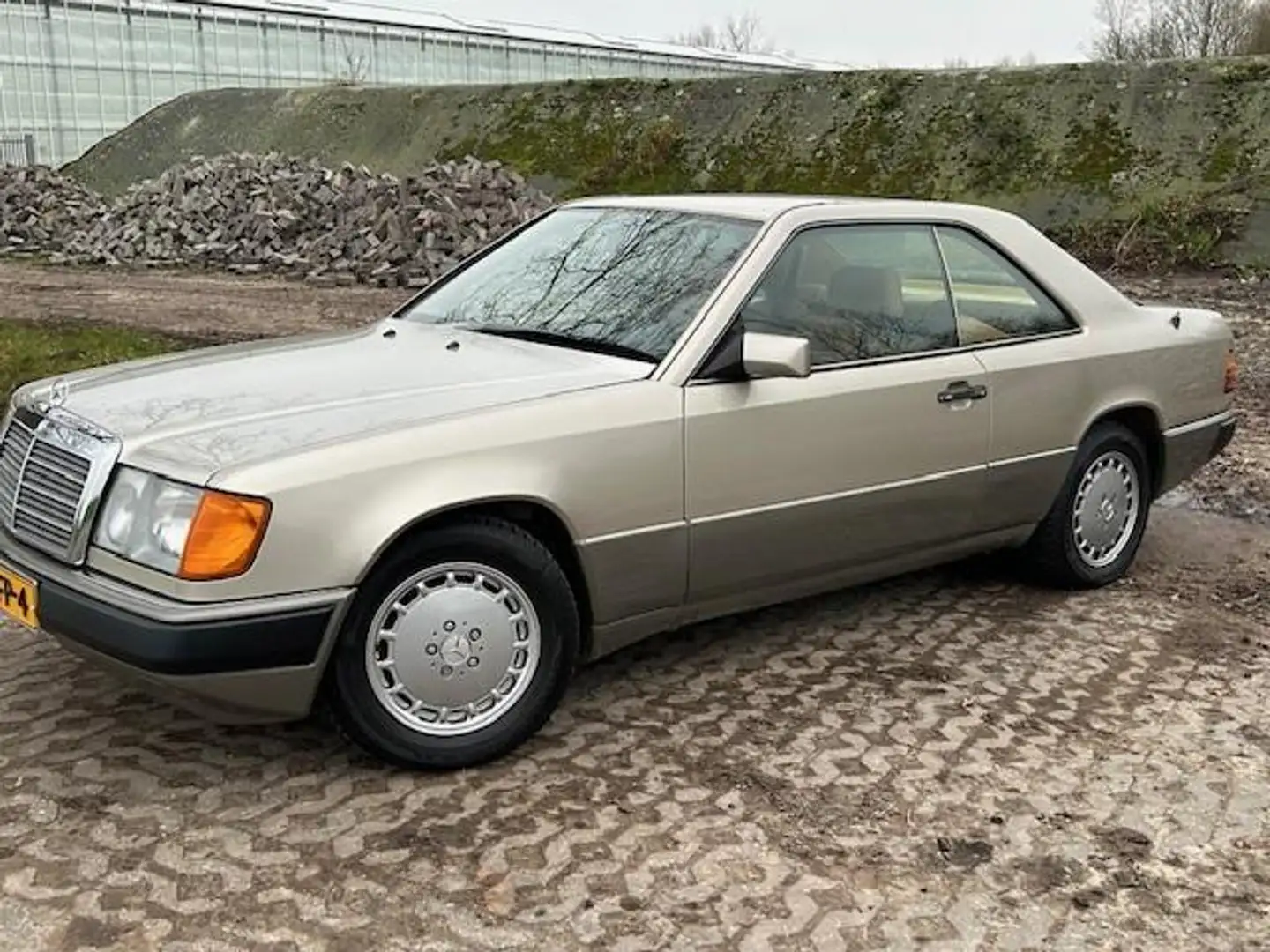 Mercedes-Benz CE 200 200-500 (W124) 300 Beige - 1