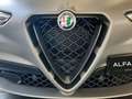 Alfa Romeo Stelvio 2.9 Bi-Turbo Q4 Quadrifoglio AT8 Gris - thumbnail 44