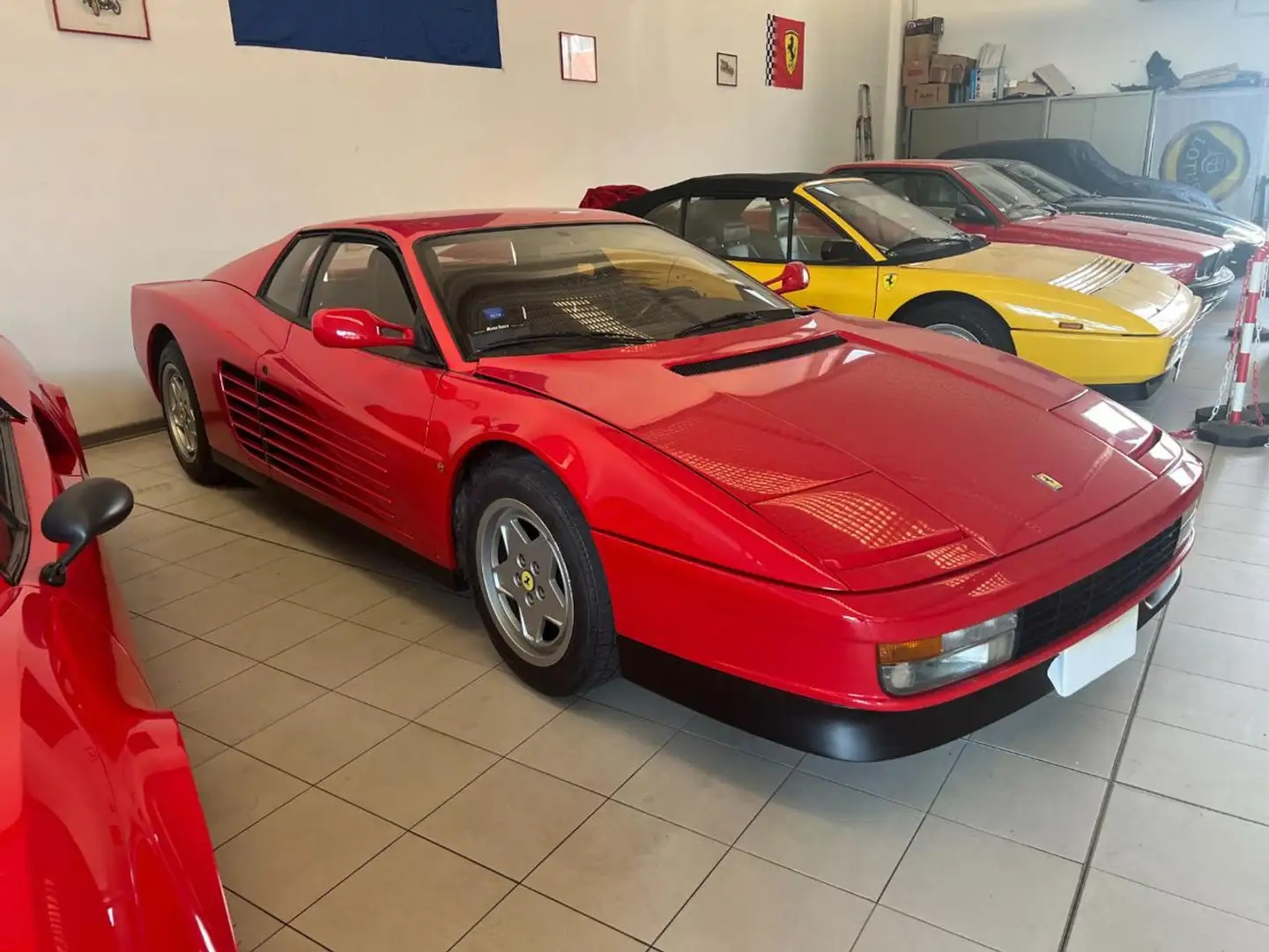 Ferrari Testarossa cat Rot - 1