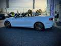 Audi A5 Cabrio Sport 3,0 TDI quattro  S-tronic V6 /3xSL... Weiß - thumbnail 6