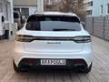 Porsche Macan GTS *GTSPAKET*CARBON*PASM*PANO*AHK*BOSE Weiß - thumbnail 7