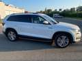 Skoda Kodiaq Kodiaq 2.0 tdi Executive 4x4 7 posti Bianco - thumbnail 4