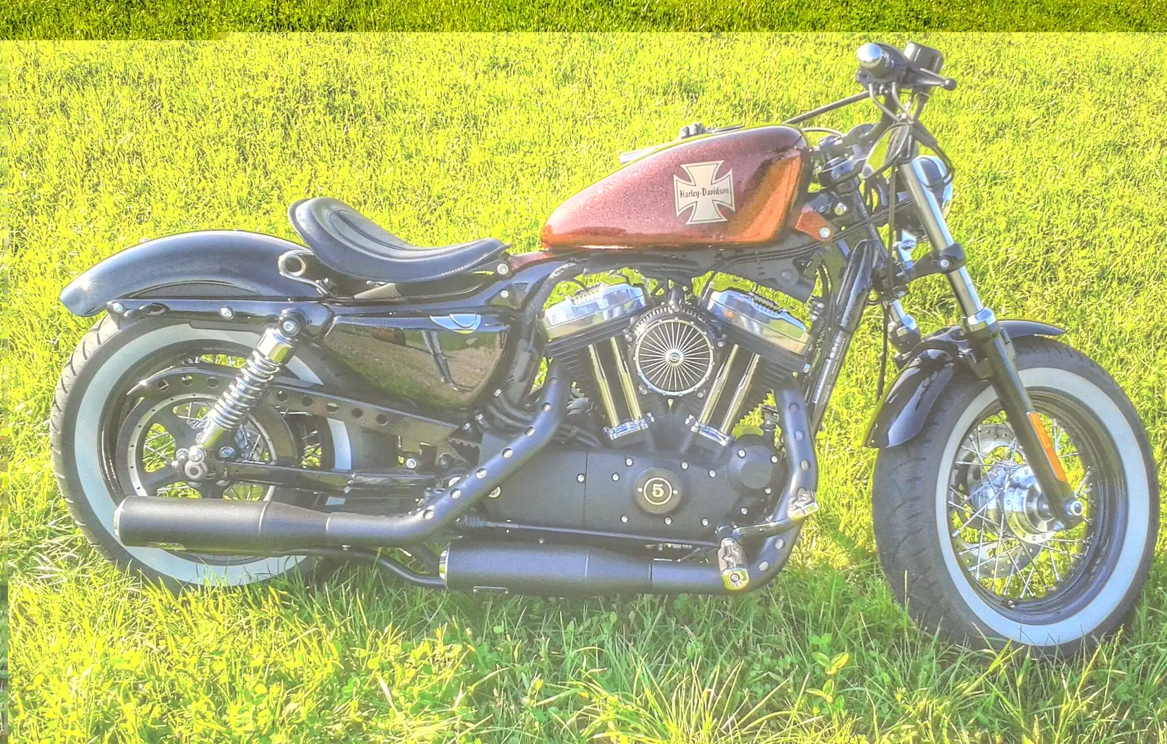 Harley-Davidson Sportster Forty Eight Bronce - 1