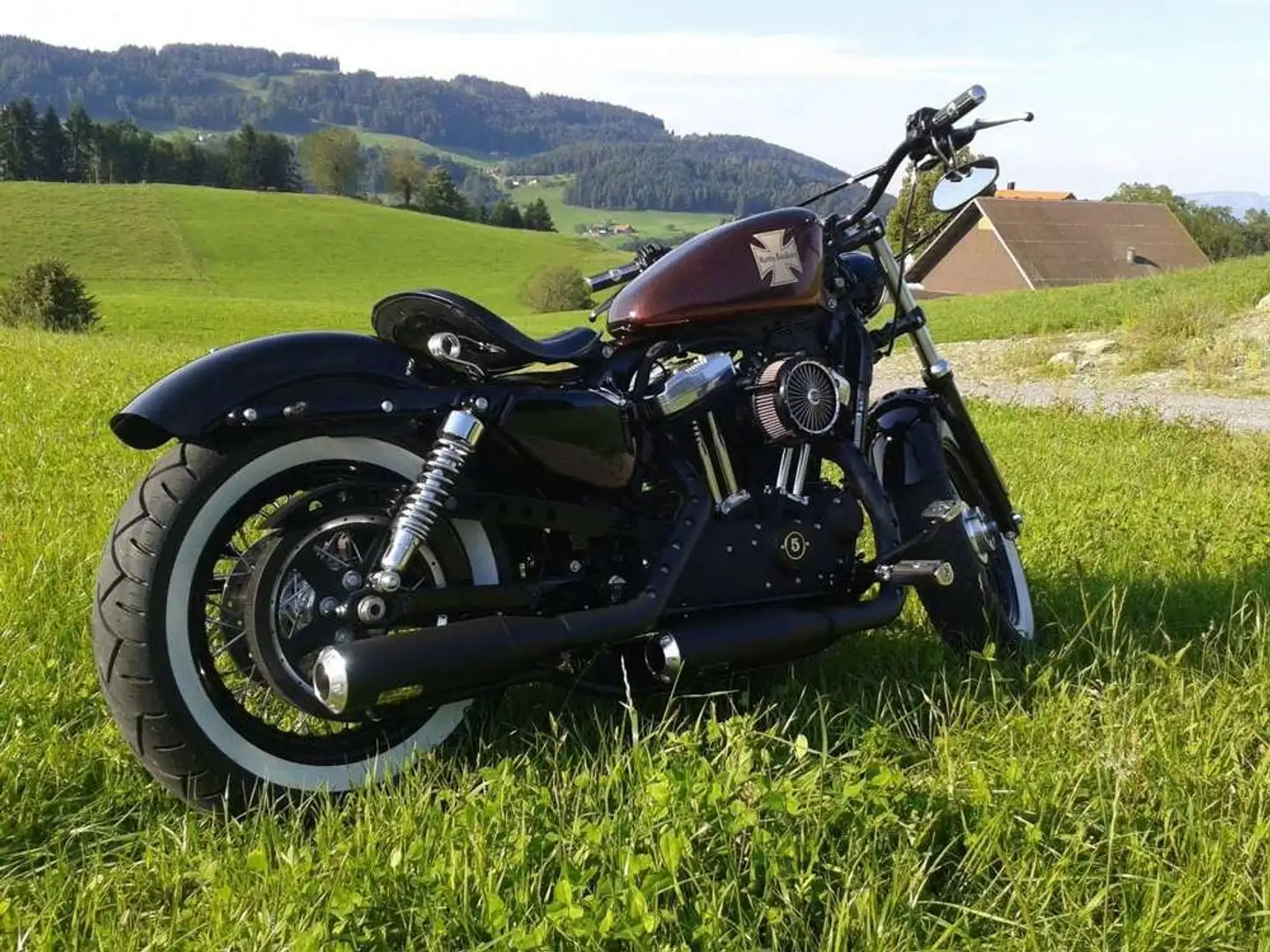 Harley-Davidson Sportster Forty Eight Bronce - 2