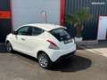 Lancia Ypsilon 1.2 Stop&Start 69 cv citadine regulateur radar alc Blanco - thumbnail 5
