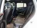 BMW X4 M 40d M Sport eSitze Carbon AHK Panorama HeadUp Grau - thumbnail 11