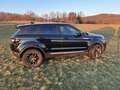 Land Rover Range Rover Evoque Pure Allrad Schwarz - thumbnail 3