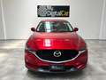 Mazda CX-5 CX-5 II 2017 2.2 Exceed 2wd 150cv auto my19 Rouge - thumbnail 5