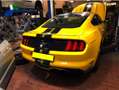 Ford Mustang 2.3 Eco Boost Aut. Giallo - thumbnail 2
