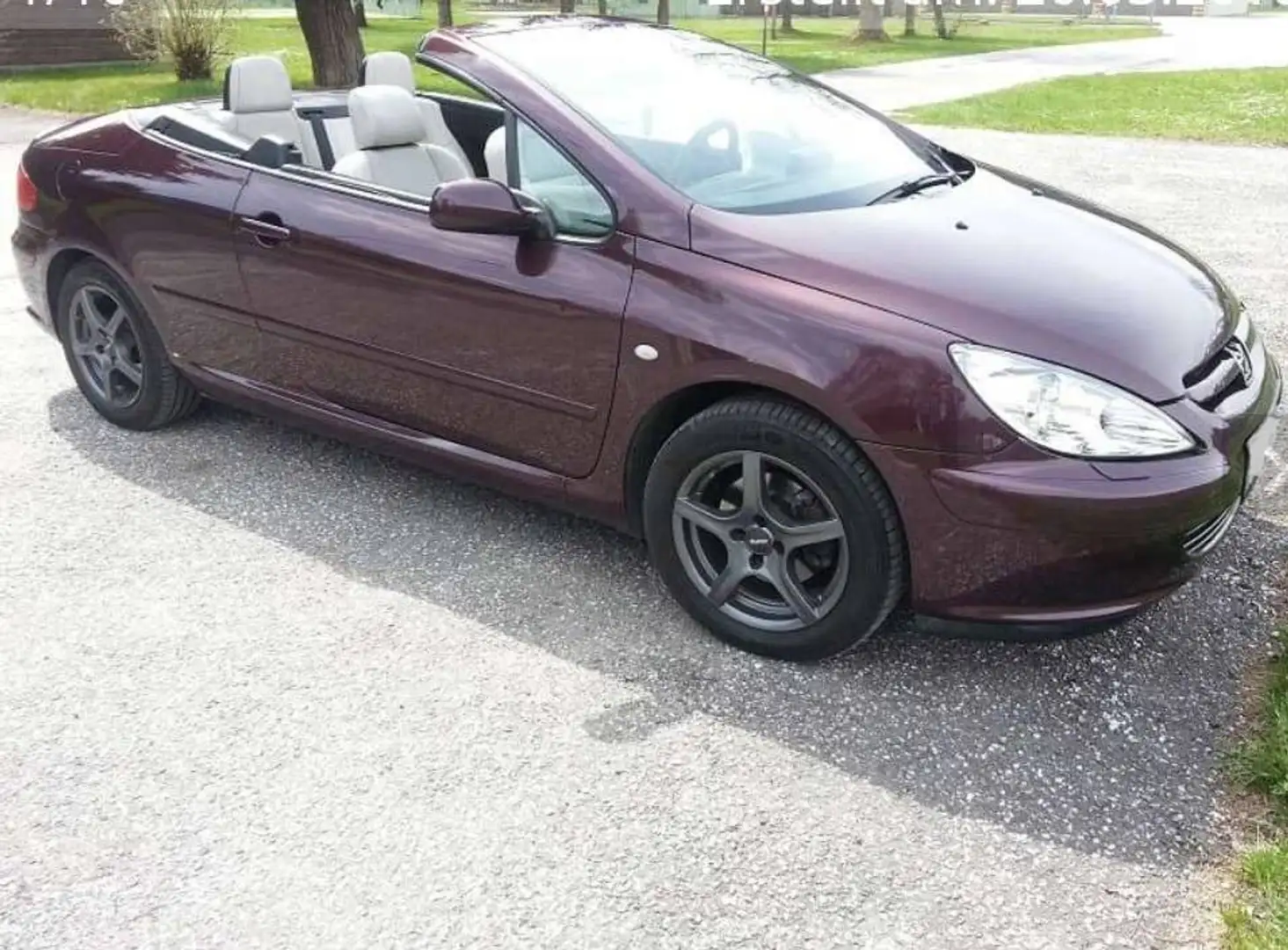 Peugeot 307 307 CC 1,6 16V Violett - 1