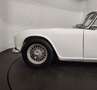 Triumph TR4 overdrive Weiß - thumbnail 19