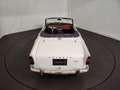 Triumph TR4 overdrive Weiß - thumbnail 12