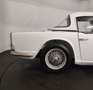 Triumph TR4 overdrive Weiß - thumbnail 25