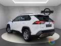 Toyota RAV 4 Business Hybrid 218cv - PROMO/IVA ESP. - thumbnail 6