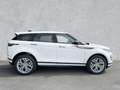 Land Rover Range Rover Evoque D165 R-Dynamic SE Winterpak Induktion Memory Blanc - thumbnail 6