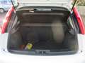 Fiat Punto 1.2i Airco/Gekeurd/Garantie/22.000km Blanc - thumbnail 8