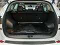 Hyundai TUCSON Premium 4WD 1.6 TGDI*Pano*Navi*Apple*8fach Weiß - thumbnail 16
