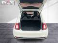 Fiat 500 1.0 Mild Hybrid Klima Tempomat Isofix Weiß - thumbnail 13