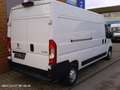 Peugeot Boxer L3H2 BlueHDi*Klima*Tempomat*Tüv neu*Garantie* Weiß - thumbnail 5