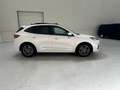 Ford Kuga * Hybride - Automaat - Garantie * Blanc - thumbnail 3