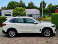 BMW X5 xDrive 8G-Aut. *1.Hand, BMW-Scheckheft* Weiß - thumbnail 8