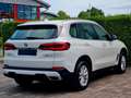 BMW X5 xDrive 8G-Aut. *1.Hand, BMW-Scheckheft* Weiß - thumbnail 7