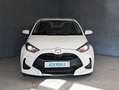 Toyota Yaris Yaris 1.5h 130 Premiere Weiß - thumbnail 2