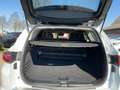Renault Talisman Grandtour 2.0 BLUE dCi 190 Intens Bianco - thumbnail 5