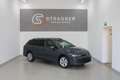 Volkswagen Golf Variant Business TSI Grau - thumbnail 1