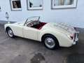 MG MGA 1500 Beige - thumbnail 23