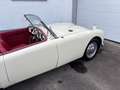 MG MGA 1500 Beige - thumbnail 8