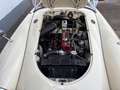 MG MGA 1500 Beige - thumbnail 24