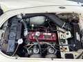 MG MGA 1500 Beige - thumbnail 25