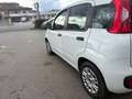 Fiat Panda Bianco - thumbnail 2