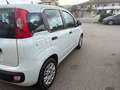 Fiat Panda Bianco - thumbnail 3