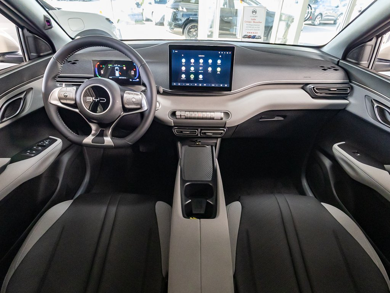 BYD Dolphin Surf Comfort — photo 4