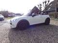 MINI Cooper S Cabrio 2.0 C. S Chili S.Bns Wit - thumbnail 1