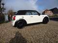 MINI Cooper S Cabrio 2.0 C. S Chili S.Bns Bianco - thumbnail 4