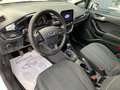 Ford Fiesta 5p 1.5 ecoblue (tdci) Plus 85cv my19 Blanc - thumbnail 11