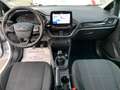 Ford Fiesta 5p 1.5 ecoblue (tdci) Plus 85cv my19 Blanco - thumbnail 12