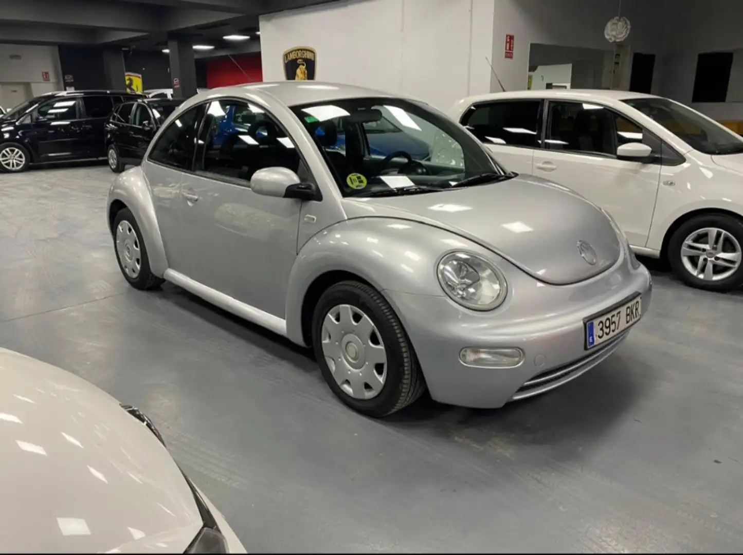 Volkswagen Beetle 1.6 Gri - 2