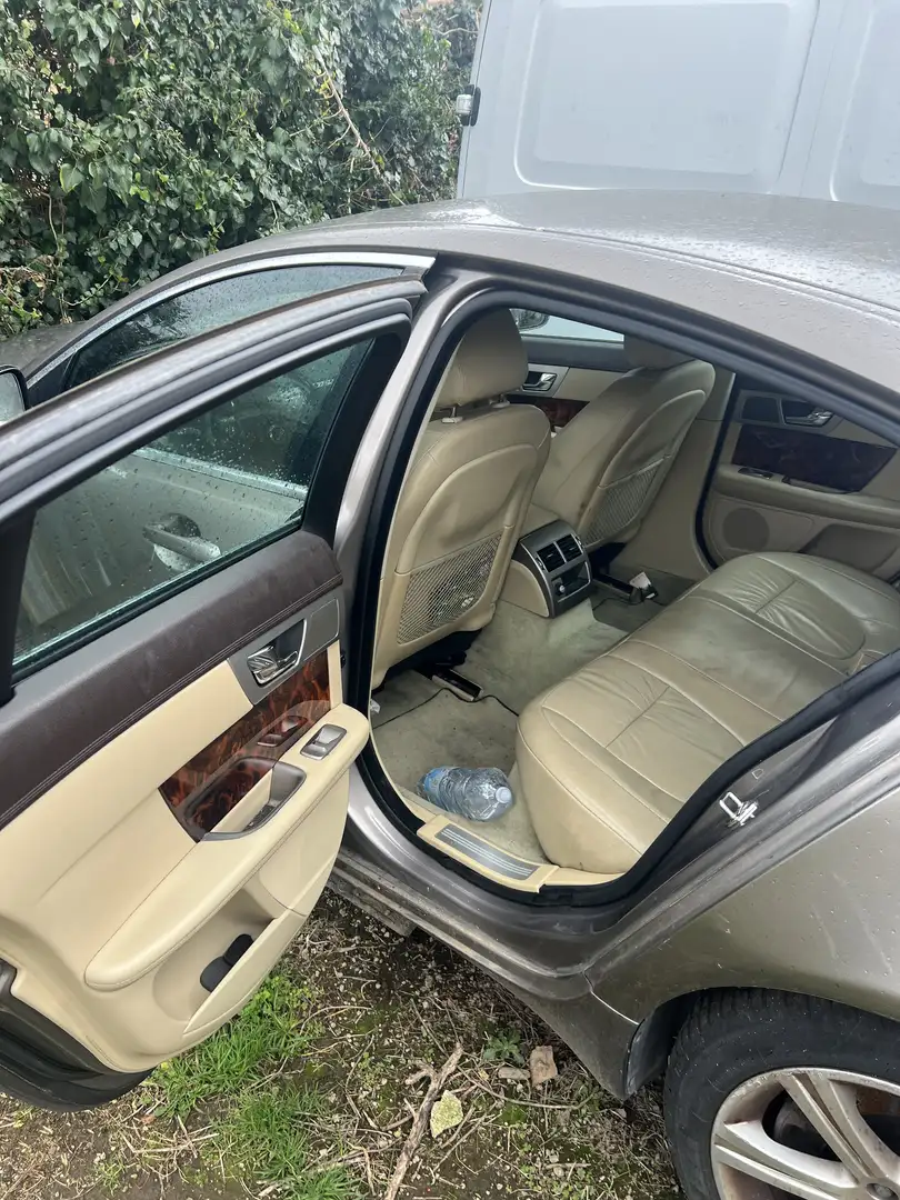 Jaguar XF 3.0d V6 Premium Luxury auto - 2
